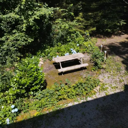 Vogelzang Nyaraló *