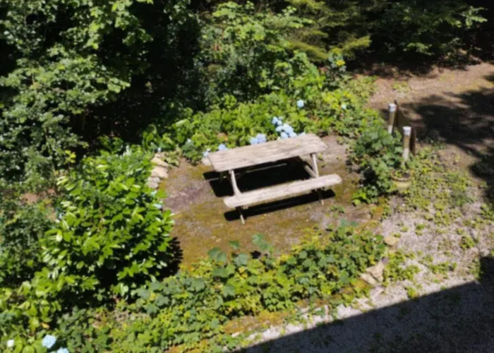 Vogelzang Nyaraló *